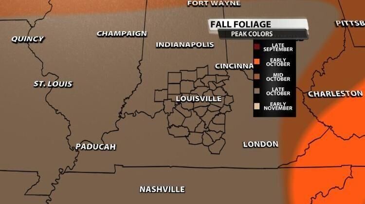 fall foliage.jpg